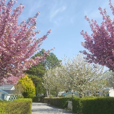 Camping Caravaning Les Cerisiers Berck Sur Mer Verton 外观 照片