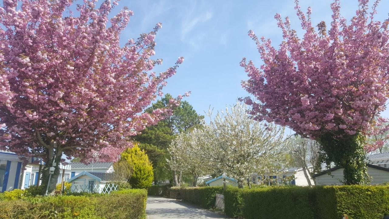 Camping Caravaning Les Cerisiers Berck Sur Mer Verton 外观 照片